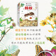 小昆虫大探秘（全套8册）彩图版 中小学生课外科普百科自然动物绘本1348****神马卡通四川少年儿童出版社