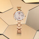 
CITIZEN watch photoelectric perpetual calendar strap case business fashion women's watch EC1048-54W multi-campus radio wave women's watch