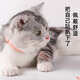Youfanmeng laser pointer collar funny cat toy smart toy self-stimulation and boredom relief artifact funny cat stick pet supplies