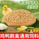 Quail chicken feed, large chicken compound feed, broiler, layer chicken premix, chicks, goose, duck and goose feed, chick food 5Jin Jin is equal to 0.5 kg