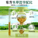 妇炎洁女性私处护理液清洁液本草抑菌祛味清洗液688ml/瓶赠冲洗器2支