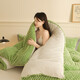Arctic velvet quilt core thickened to keep warm lamb velvet winter quilt student dormitory single quilt plus double home cover quilt beautiful - bean green [double-sided velvet quilt] 150x200cm6Jin [Jin equals 0.5 kg] (winter quilt)