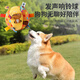Cute Star Pet Dog Toy Sound Ball Pet Plush Bell Ball Interactive Training Supplies