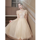 SAIDELE champagne color evening dress 2025 new adult gift small birthday party light luxury niche high-end art exam skirt for women champagne color medium length S (recommended 86-95 Jin [Jin equals 0.5 kg])
