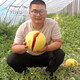 Shouhe yellow flesh watermelon seeds yellow heart gift type yellow flesh Shouguang melon winter and spring home garden melon seeds yellow skin red flesh watermelon seeds 10 capsules