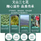 福美柒三七花头茬新花 云南三七花茶 精选四年花 特级文山三七花茶250克 田七花泡茶的功效500克 精选当季新三七花【250克】