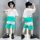 Disney Brand Children's Clothing Boys Sommeranzug 2023 Neue Sommerkoreanische Version Junge mittelgroße Kinder Internet Prominente Kurzärärmeltrend 826 Sets White 120