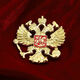 Russian Double-Headed Eagle Badge Soviet Scythe Axe First Class Medal of Defense Red Five-pointed Star Metal Brooch Soviet Set (5 pieces in total) Paper Card Packaging