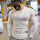 Lutielang sports tights men's long-sleeved T-shirt elastic quick-drying muscle training top running fitness coach gray L
