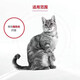 Adult Cat Niere Vollpreis verschreibungspflichtiger Korn Royal RF23 Nephritis Nierenversagen HF26 Leber DR25 Hypoallergen DS46 Diabetes DS46 Royal Cat Diabetes verschreibungspflichtiges Getreide 1,5 kg