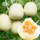 Shouhe white-skinned melon seeds, red-fleshed melons, white melons, new and old melon seeds, vegetable fields, Xue Naixiang No. 1 fragrant melon seeds, 400 capsules x 2 bags