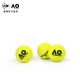 Dunlop DUNLOP Australian Open tennis Australian Open official ball training game ball tin can 3 capsules
