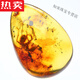 SNQP selected high quality stone Qingling Baltic Sea natural amber insect amber pendant pendant raw stone with insect water drop necklace yellow PA1283
