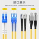 泰盟（TIMON）电信级千万兆光纤跳线 LC-LC单模双芯收发器光模块尾纤 低烟无卤机房入户光纤线1米TM-GSM-2LCLC1M