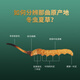 
QOMO Tibet Nagqu Cordyceps sinensis High-altitude Dried Cordyceps Wild Cordyceps Natural Growth Nagqu Cordyceps Gift Box Gift Box Gift Box Gift Box 3-4 Rods/g 10g (35-40 Rods)