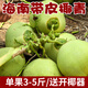 Xianyouji Hainan Wenchang Coconut Green Large Fruit Fresh Coconut Coconut for Pregnant Women is picked and sent with coconut opener and straw 6 coconuts with skin (3 Jin Jin for a single fruit is equal to 0.5 kg - 5 Jin Jin is equal to 0.5 kg)