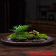 LZJV苔藓吸水石盆器盆景盆长方形菖蒲假山上水石水培紫砂陶瓷底盘盆 盆景盆2677 陶瓷_大