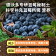 Devodo blueberry special nutrient soil 15L gardening vegetable soil green plant potted flower soil fruit and vegetable plant material organic planting soil