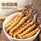 
Yuanjiang grass Cordyceps sinensis 2 pieces/g 10 grams about 20 pieces First Cordyceps king gift box supplements for elders and parents gifts