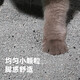 HONEYCARE 好命天生 活性炭倍净膨润土猫砂2.5kg*4包 小颗粒易结团无尘