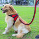 PPO Dog Rope Leash Samoyed Golden Retriever Labrador Collar Dog Chain Medium Large Dog Golden Retriever Dog Walking Rope Single Chest Back Red Black M Code - Recommended 18-35 Jin Jin equals 0.5 kg Use
