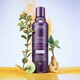 AVEDA艾梵达丰盈强韧紫森林蓬松洗发露护发防断发洗发水200ML
