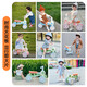 McGonzi Children's Balance Car 1-3 Years Old Baby Walker 2-6 Years Old Boy and Girls Sliding Car No-Pedestrian Scooter Lighting Music Model [Princess Pink] 2-4-6 Years Old Children's Day Gift