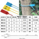 One-time customized garden seedling seal number tree extended plastic seal label sign 42CM50CM60CM plastic 60cm white 100 pieces