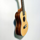 Saint Lipinn Veneer ukulélé Small Guitare 23 pouces Instrument de musique amusant de 23 pouces Gift Adult Ukulele Modèle personnalisé combo 23 pouces + non