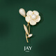 Jay hibiscus brooch, women's coat corsage, collar pin accessories, birthday gift for mother-in-law, elders, brand gift box, Baibei (Beijing warehouse/delivered nearby)