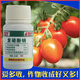 Aido recovers sodium nitrophenolate, imports money tree, promotes germination, grapes, betel nut, watermelon, antidote, prevents cracking, breaks dormancy, 6ml