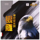 729 友谊 生胶套胶563 鬼釜3乒乓球胶皮 乒乓球拍颗粒胶 563 生胶套胶 红色 38度 1.5