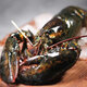 Fresh Boston lobster 400-500g/piece