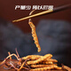 
QOMO Tibet Nagqu Cordyceps sinensis High-altitude Dried Cordyceps Wild Cordyceps Natural Growth Nagqu Cordyceps Gift Box Gift Box Gift Box Gift Box 3-4 Rods/g 10g (35-40 Rods)