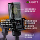 LEWITT RAY live broadcast large diaphragm condenser microphone computer mobile phone universal recording studio equipment anchor LEWITT RAY microphone single product large diaphragm audio equipment