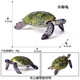 
Oenux marine animal model sea turtle toy solid turtle simulation small creature ornament figure children's elephant turtle leatherback turtle M-688 Brazilian turtle