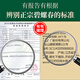 
Biluo 2025 Spring Tea Green Tea Suzhou Dongting Biluo Chundongshan Tea Factory First-class AAA100g Mingqian New Tea Cans