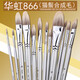 Huahong (Hwahong) 866 Paint pinceau à huile Personnage à huile de tissu en pierre ovale / Aquarelle / brosse acrylique Cat Bristle Brossage Brosse mélangée à l'huile à la craie