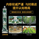 
The Complete Book of Chinese Children's Encyclopedia, Volume 2, The Mystery of Food (Primary School Students Aged 7-10 Years and 2nd Grade Reading 100,000 Why Children's Science Popular Science Encyclopedia) 978755**15055