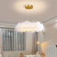 
Bedroom lamp French feather chandelier light luxury girl princess room lamp art store internet celebrity Zhongshan lamp 9272 chandelier white 35cm three-color light