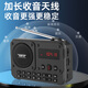 Manlux B852 high-end radio 2025 new multi-function Bluetooth speaker music playback and recording machine Titanium gray 32G