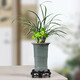 Yuxuantang rétro ge kiln fleur pot céramique argile violette petite feuille rouge nanmu papillon orchidée végétale verte salon intérieur en pot pott-bambou pot