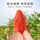 
Lei Yunshang [Official] Special wolfberry Ningxia Zhongning Red wolfberry Soaked with Chrysanthemum Cassia Tea in water 100g canned