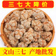 Panax notoginseng Yunnan Wenshan Spring Panax notoginseng Selected Chinese medicinal materials without cuts and nourishing gifts Sanqi Tianqi Selected 24 heads and 24 [500 grams] No cuts and 37 heads/hair whole