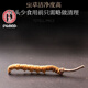 Ivanmai Auténtico Cordyceps Cordyceps Cordyceps Cordyceps Casco de hierba no rota Empacada de tubos de raíz súper grande Liangshan Yivanmai Yivanta prueba 1 botella