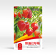 Huawoli Cream Strawberry Seeds 1000 Red Strawberry Vegetable Seeds Four Seasons Strawberry Seedlings Indoor and Outdoor Balcony Potted Plants