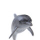 [70% neu] Dise Marine Animals Delphin Model Toys Jungen und Mädchen Marine World Early Education Cognition Kinder simulierte Tierspielzeugdolphin14699/14808