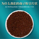 Jinzhihong Organic Ganoderma lucidum spore pulver changbaishan rot ganoderma lucidum 3g*84 Beutel Geschenkbox 4 Kisten + Geschenktüte [3G*20 Beutel*4 Kisten]