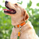 DidogPet dog collar engraved anti-lost traction rope medium and large dog collar golden retriever corgi labrador small dog collar Morandi green please leave a message or note for engraving M size recommended 18-40 Jin Jin equals 0.5 kg