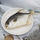 
Guangdong Sea Tongchang Golden Pomfret Zhanjiang Specialty Jinchang Fish Light-drying One Night Garden Golden Pomfret Jinchang Fish Light-drying Sea Flavoring Three Golden Pomfrets 1050g